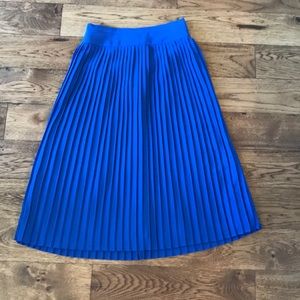 LIKE NEW Pleated Skirt from J CREW